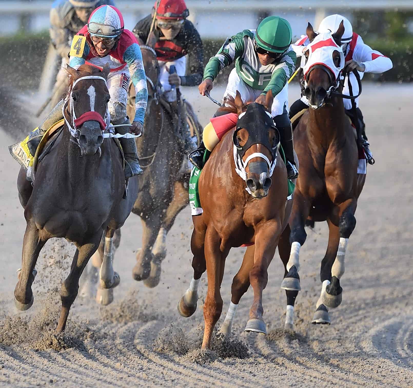 Florida-bred Dean Delivers (black blinkers) – Nikki Bernstein Photo