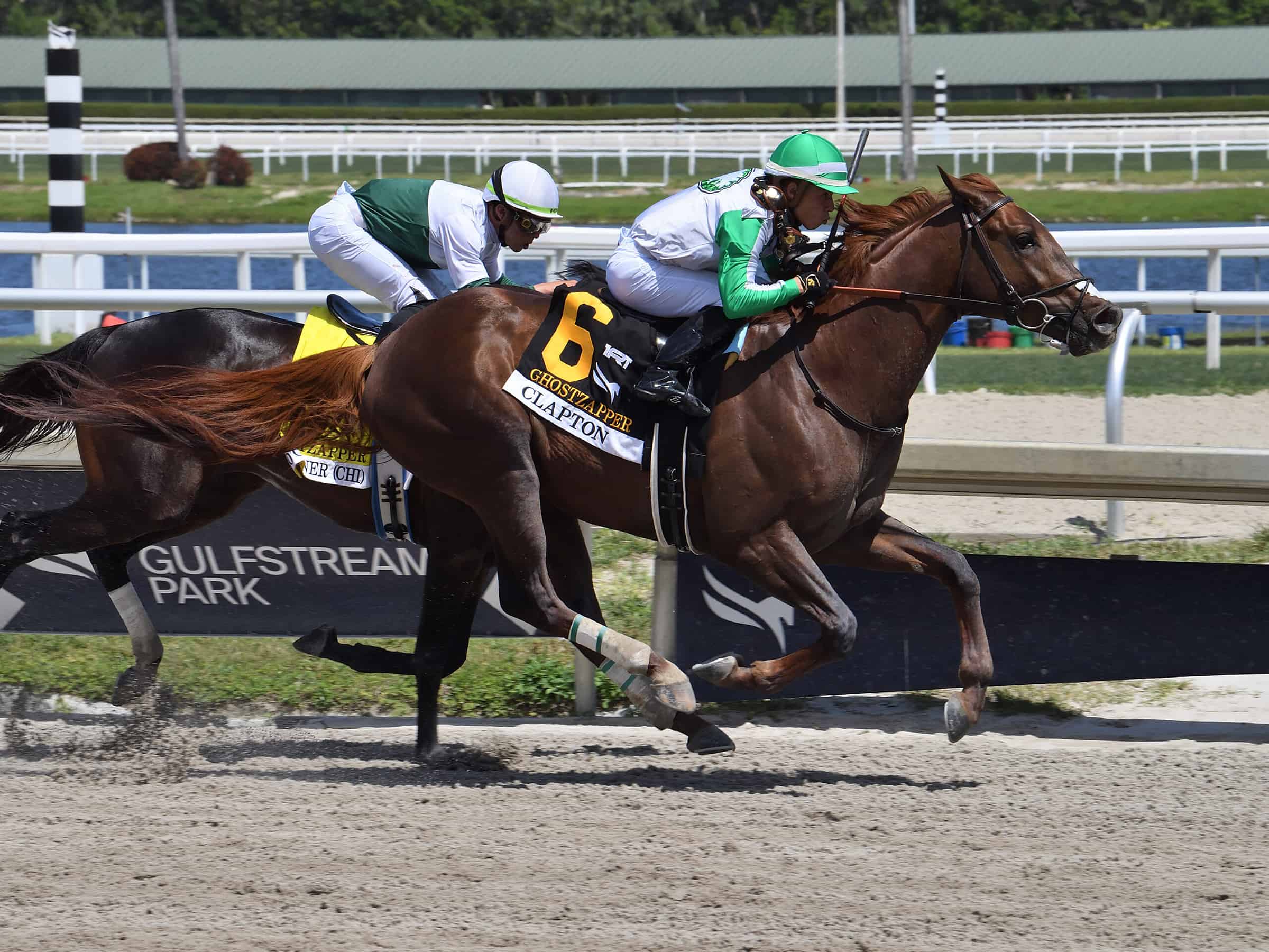 Florida-bred Clapton – Adam Coglianese Photo Florida-bred Clapton – Adam Coglianese Photo