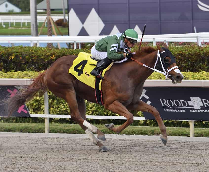 Florida-bred Dean Delivers – Lauren King Photo