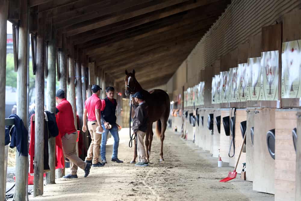 2023 Fasig-Tipton Midlantic 2 Y-O-in Training Sale - Fasig-Tipton Photo