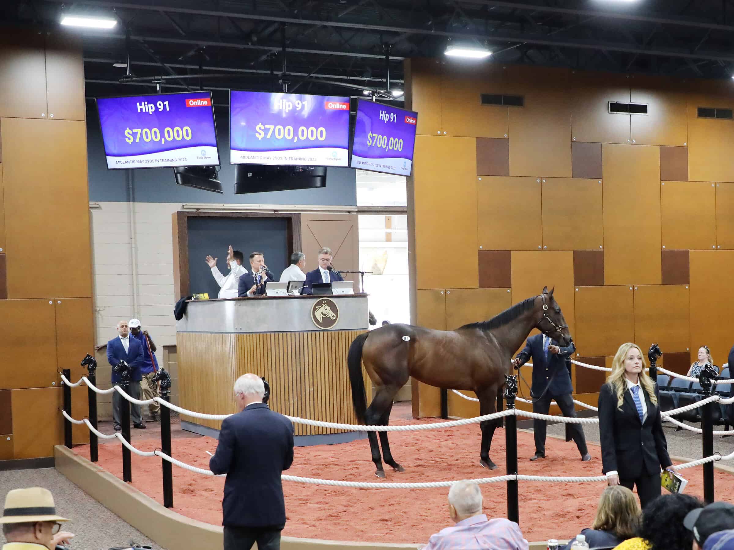 Hip 91, a colt by Awesome Slew – Fasig-Tipton Photo Hip 91, a colt by Awesome Slew – Fasig-Tipton Photo