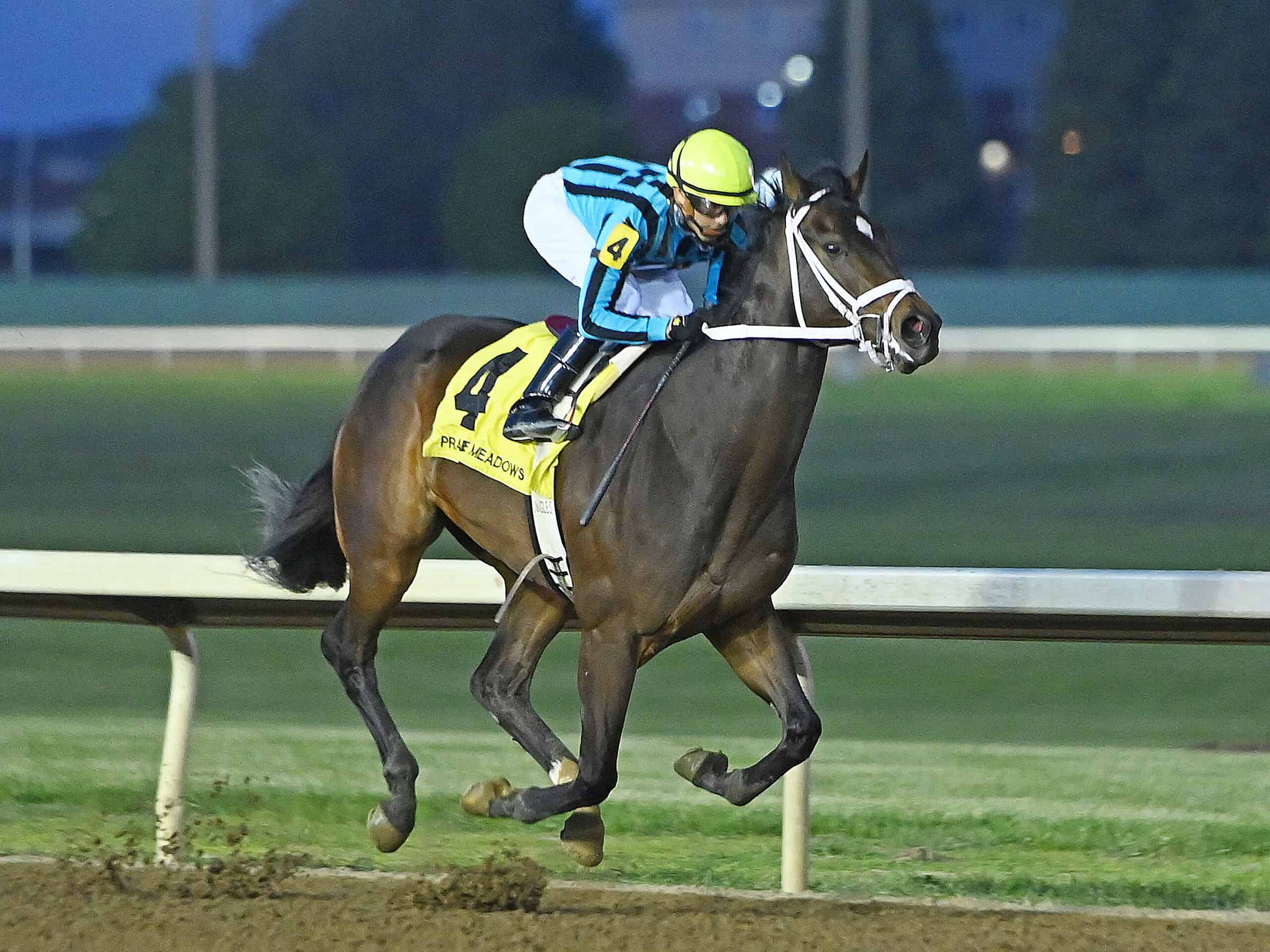 Florida-bred Uncashed – Coady Photo Florida-bred Uncashed - Coady Photo