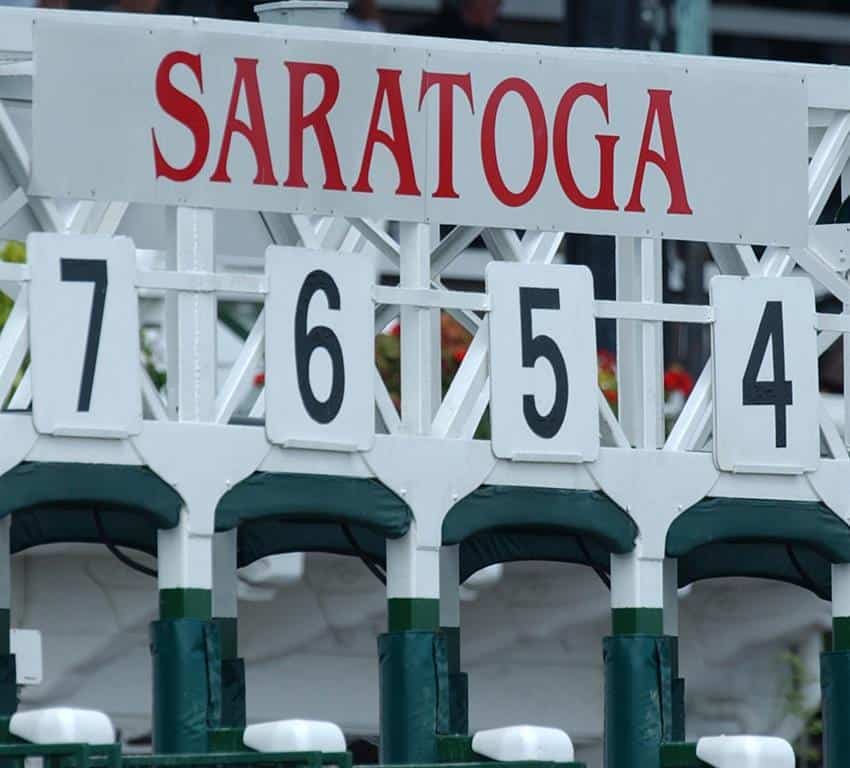 Coglianese Photo