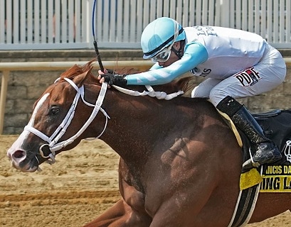 Florida-bred Lightening Larry – Jim McCue Photo