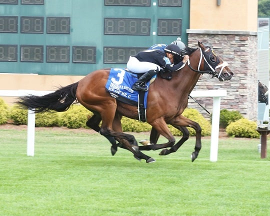 Florida-bred Me and Mr. C – Coady Photo