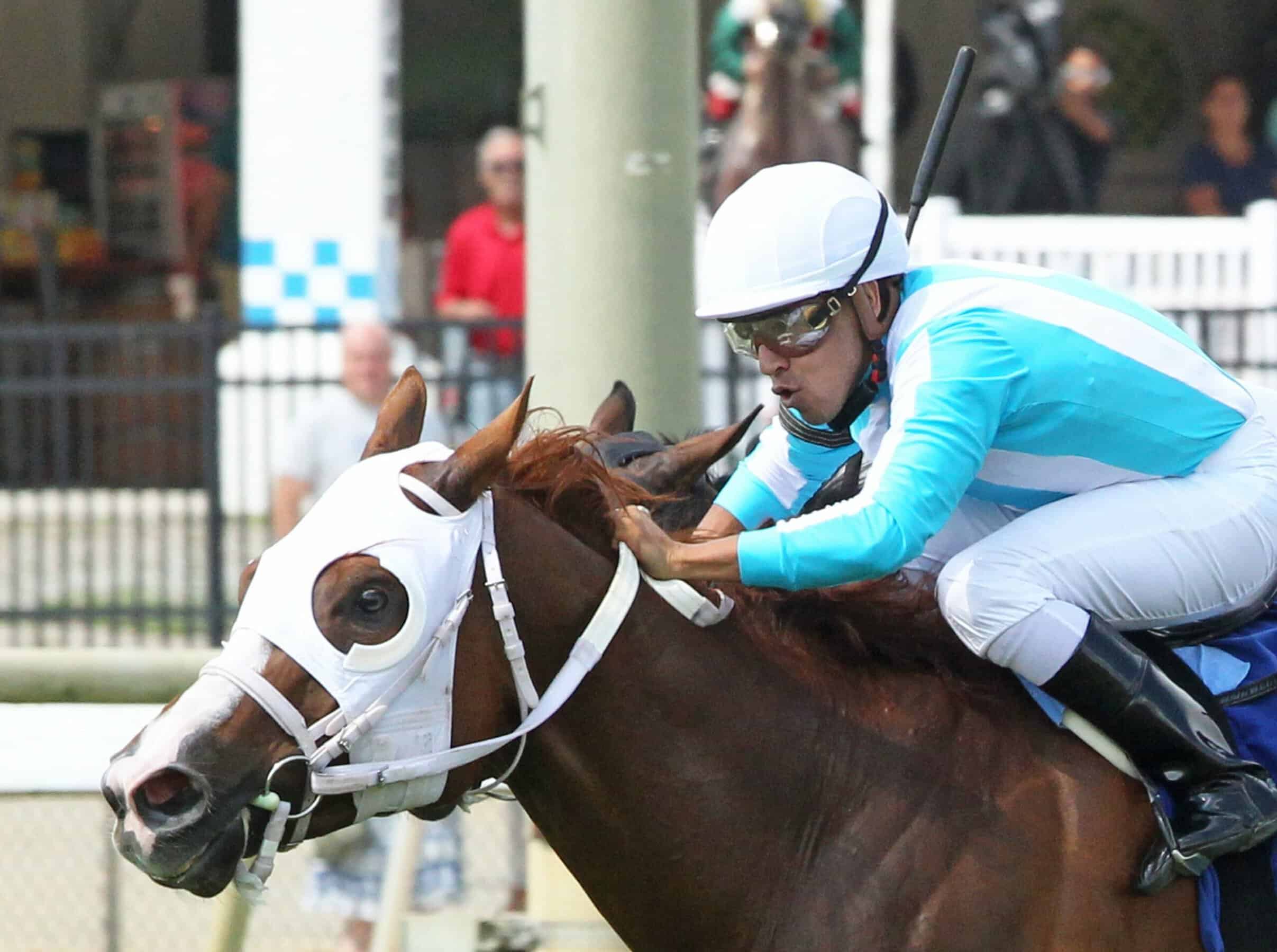 Florida-bred Sassy Beast – Coady Photo