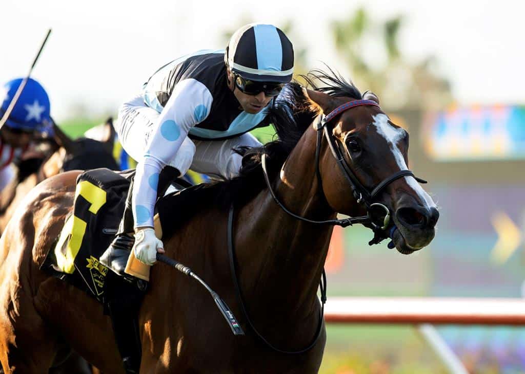 Florida-bred Sister Otoole – Benoit Photo