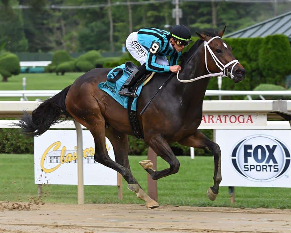 Florida-bred Uncashed – Adam Coglianese Photo