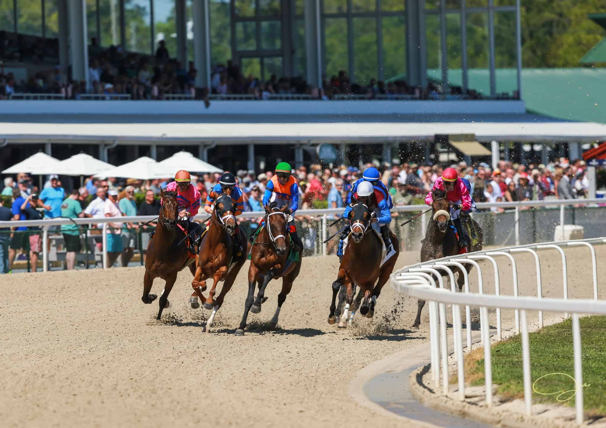 Tampa Bay Downs – Facebook Photo