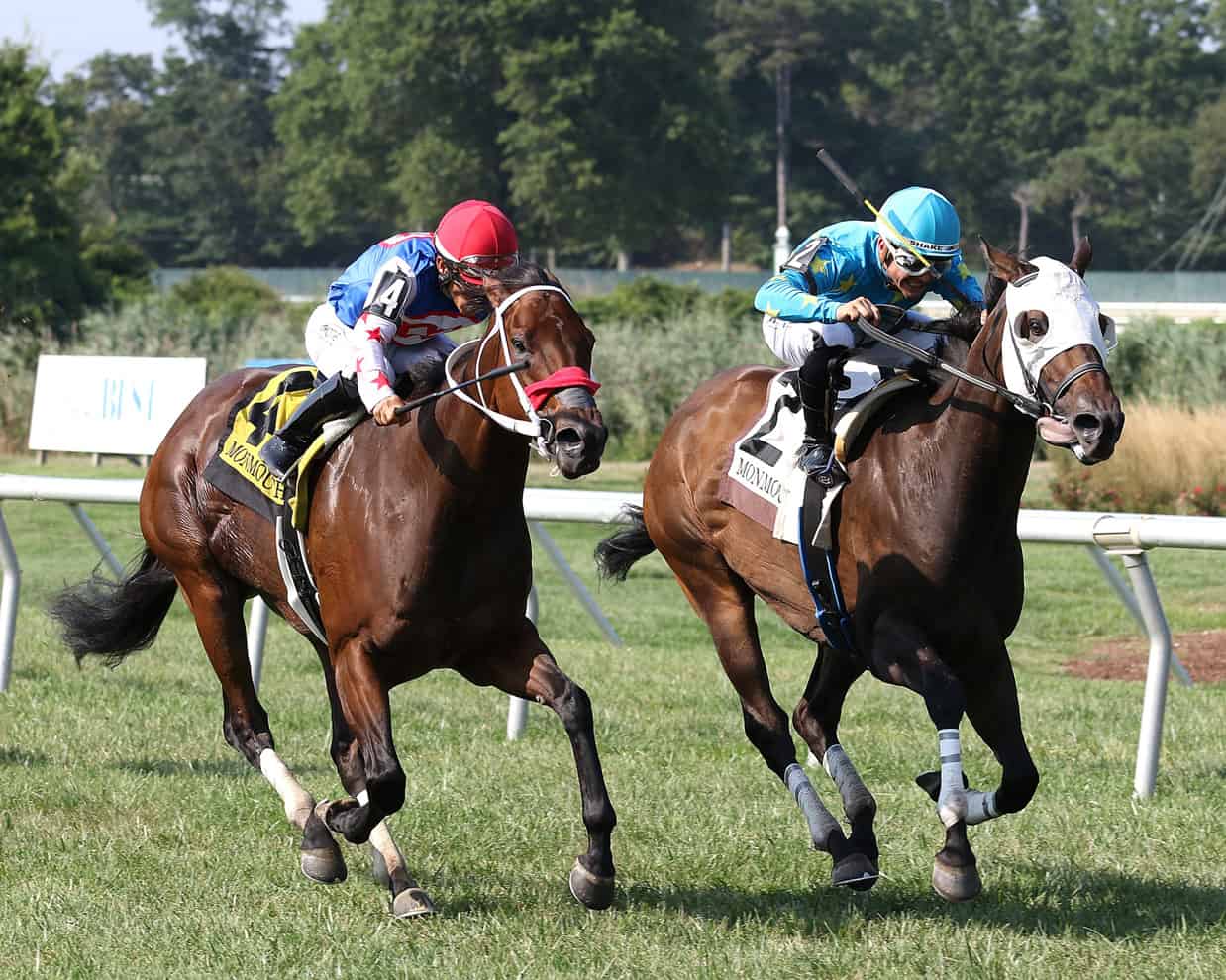 Florida-bred All That Magic (right) – Bill Denver Equi-Photo