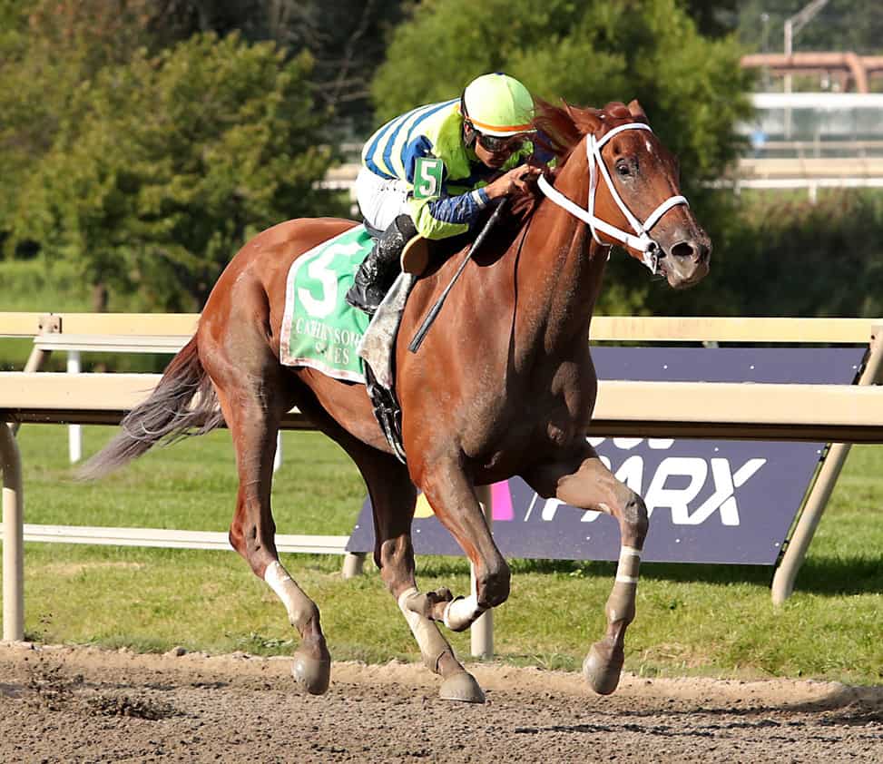 Foggy Night #5 ridden by Luis Saez wins the $200,000 Cathryn Sophia Stakes on August 22, 2023 at Parx Racing in Bensalem, PA. The three-year-old filly is trained by Robert Reid, Jr., for Pine Brook Farm. Photo by Nikki Sherman/EQUI-PHOTO.