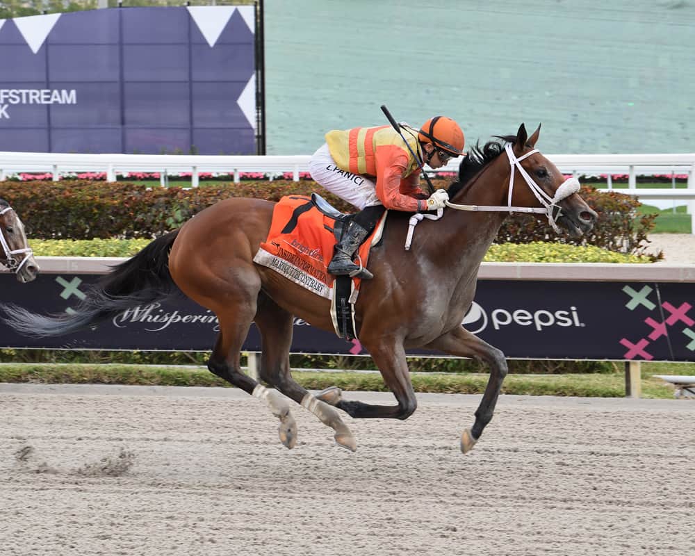Florida-bred Maryquitecontrary – Lauren King Photo