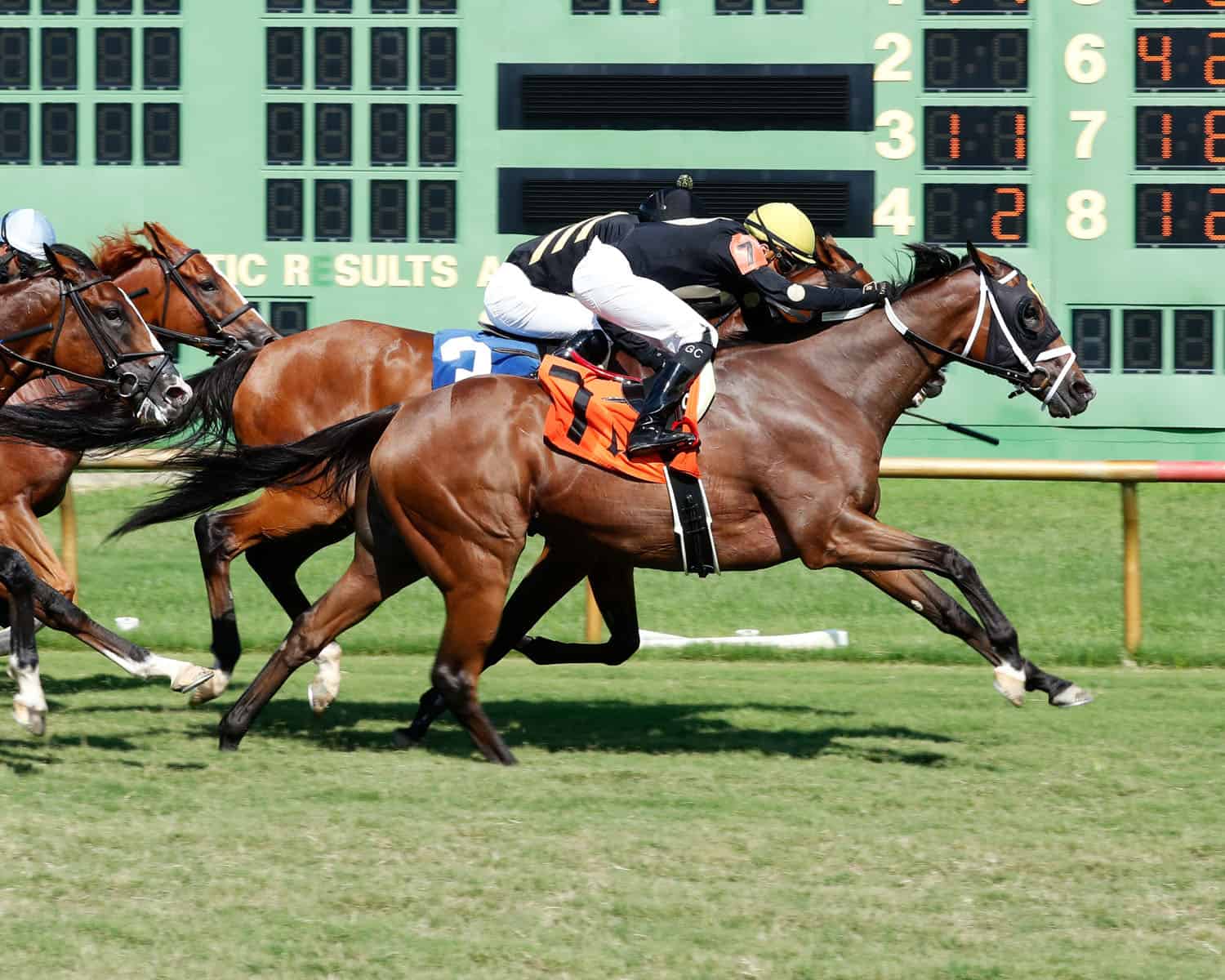 Florida-bred Me and Mr. C – Coady Photo
