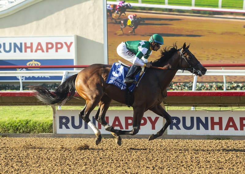 Rustlewood Farm's Pappacap and jockey Joe Bravo win the Grade II $200,000 Best Pal Stakes Saturday, August 7, 2021 at Del Mar Thoroughbred Club in Del Mar, CA. Benoit Photo