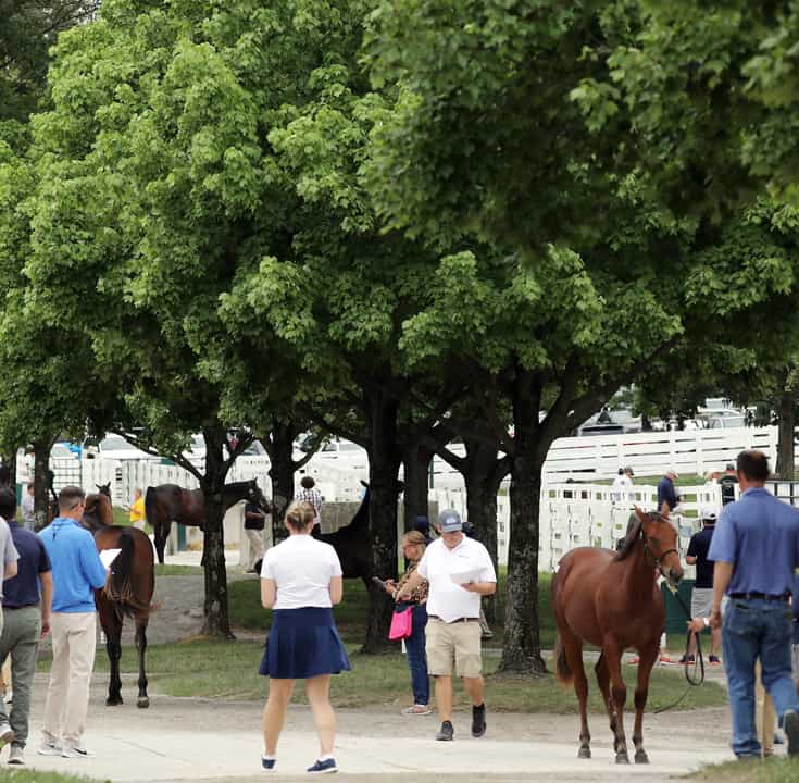 Scenics, 2022 Keeneland September Yearling Sale