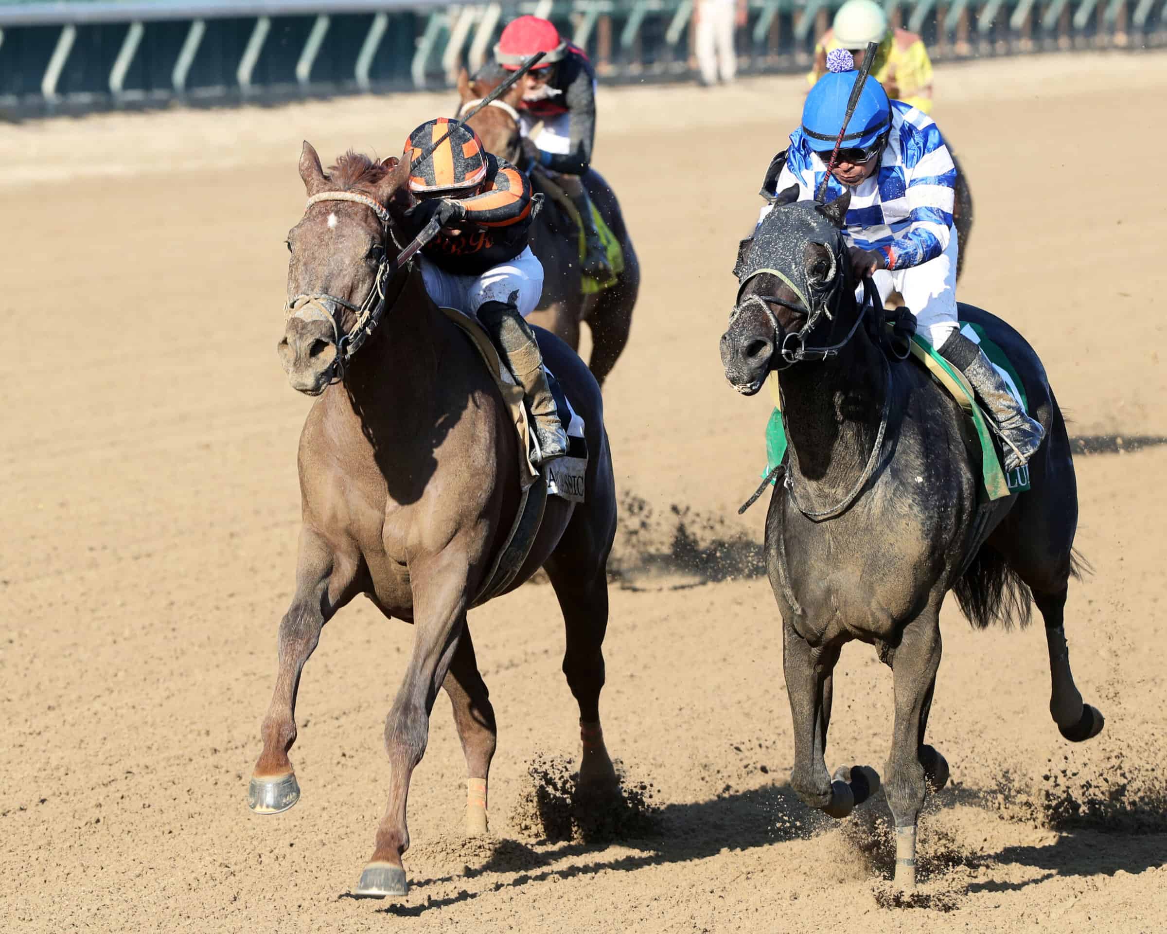 Florida-bred Clapton (left) - John Gallagher, Coady Photography
