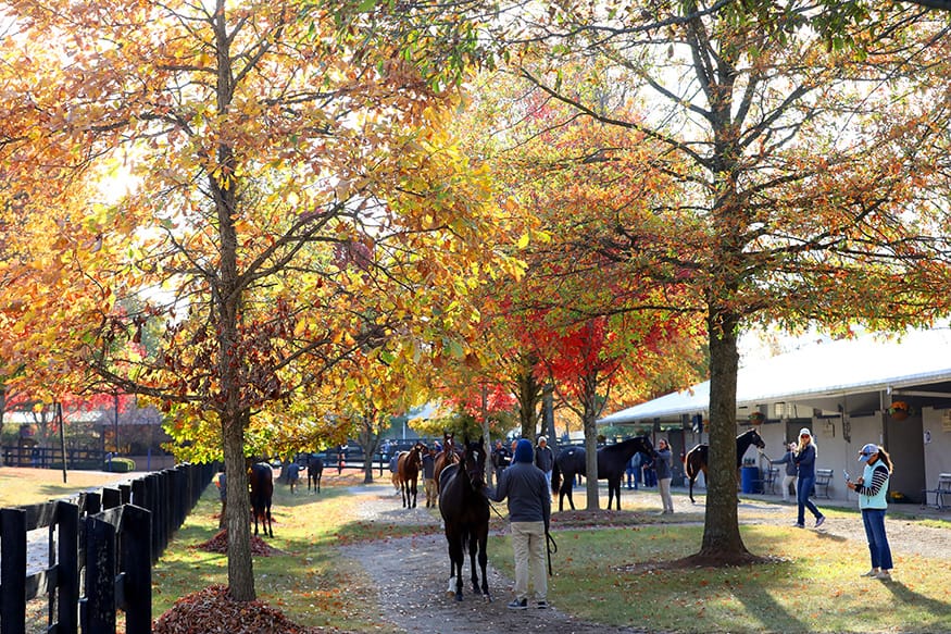 2022 Fasig-Tipton October Sale scenics