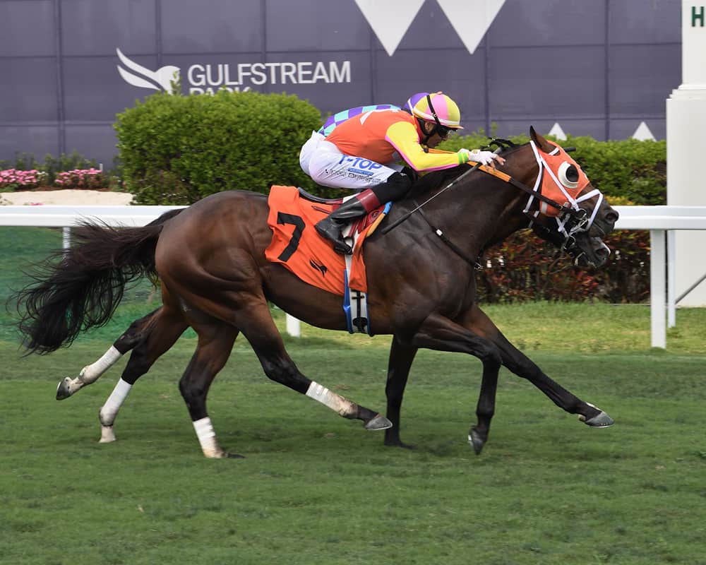 Florida-bred Max K. O. (#7) – Ryan Thompson Photo