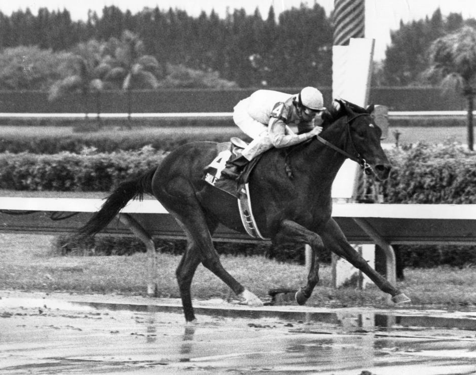 Florida-bred Smile Florida Stalliion Stakes - Jean Raftery Affirmed
