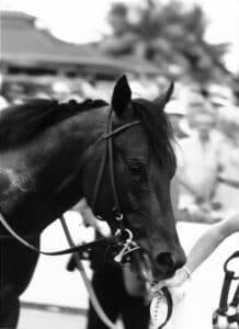 Smile headshot after SSS Sweep 10-20-84 BW