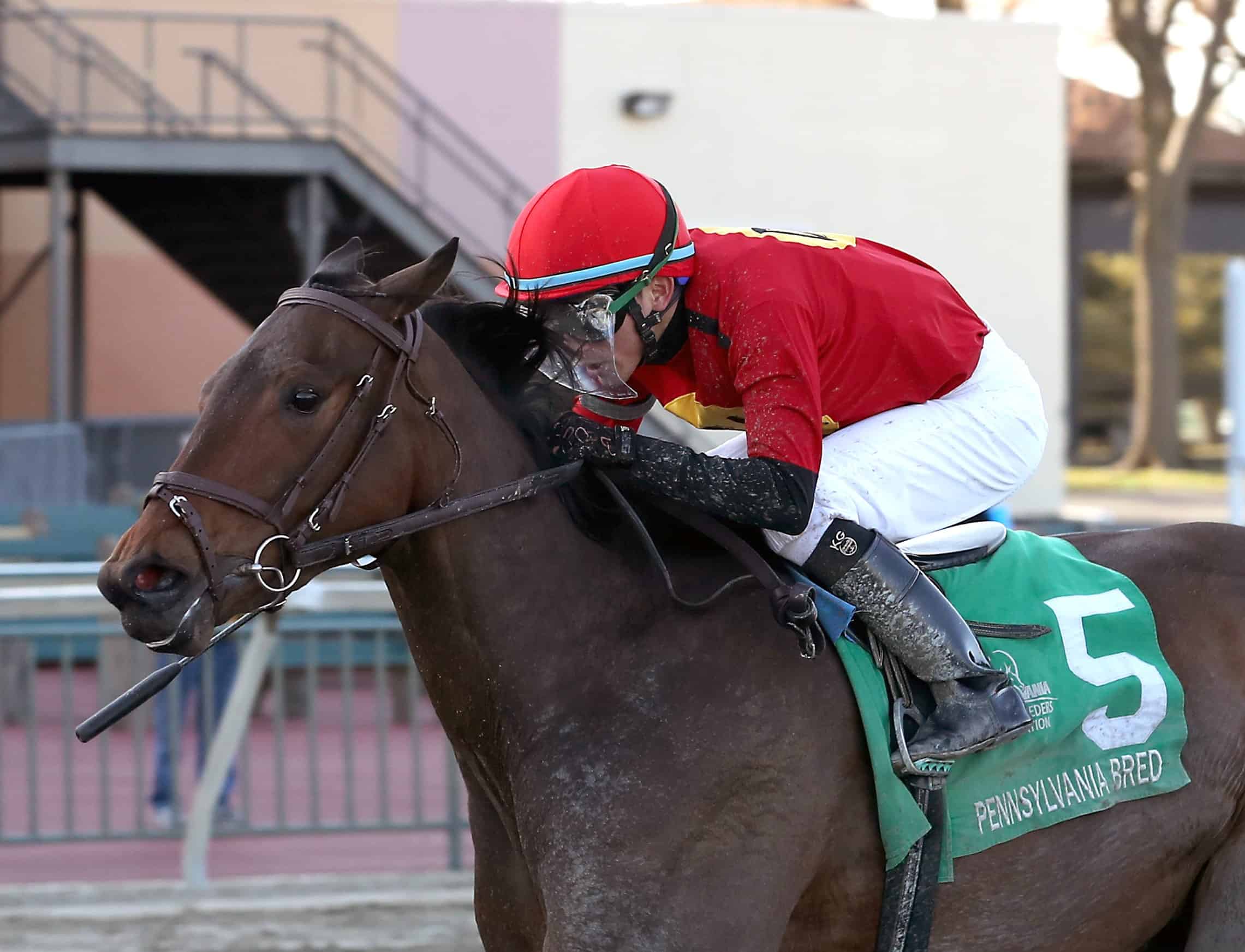 Tappin Josie #5 ridden by Kevin Gomez wins the $75,000 Society Hill Stakes on March 6, 2023 at Parx Racing in Bensalem, PA. The PA-Bred is trained by Horacio De Paz for Darryl E. Abramowitz. Photo by Bill Denver/EQUI-PHOTO.