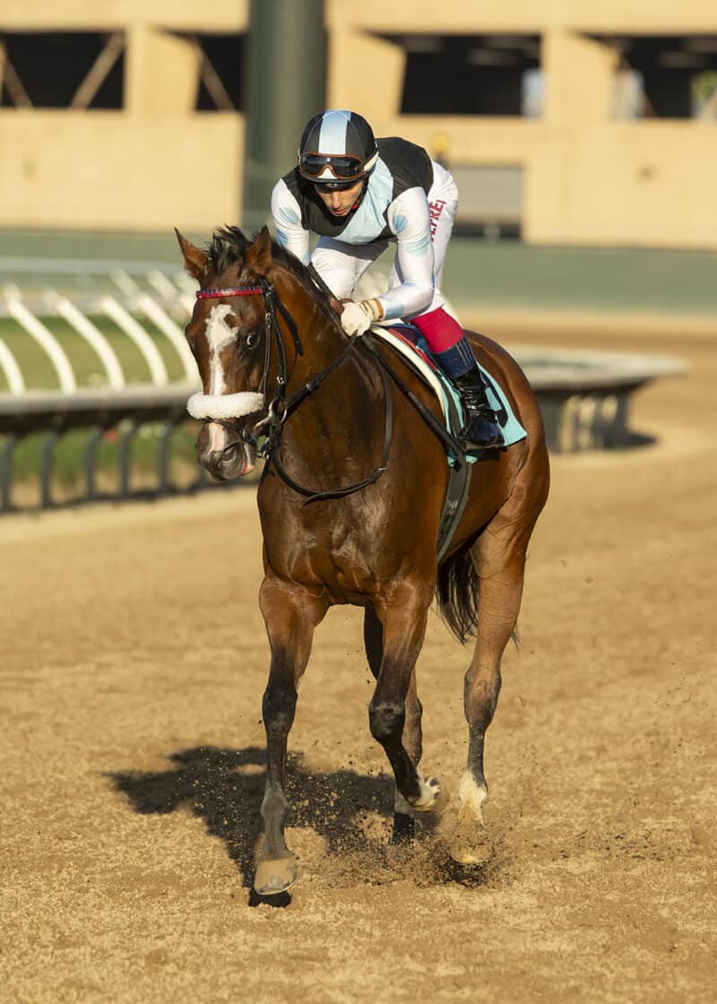 Floridabred Sister Otoole Back East for Waya FTBOA