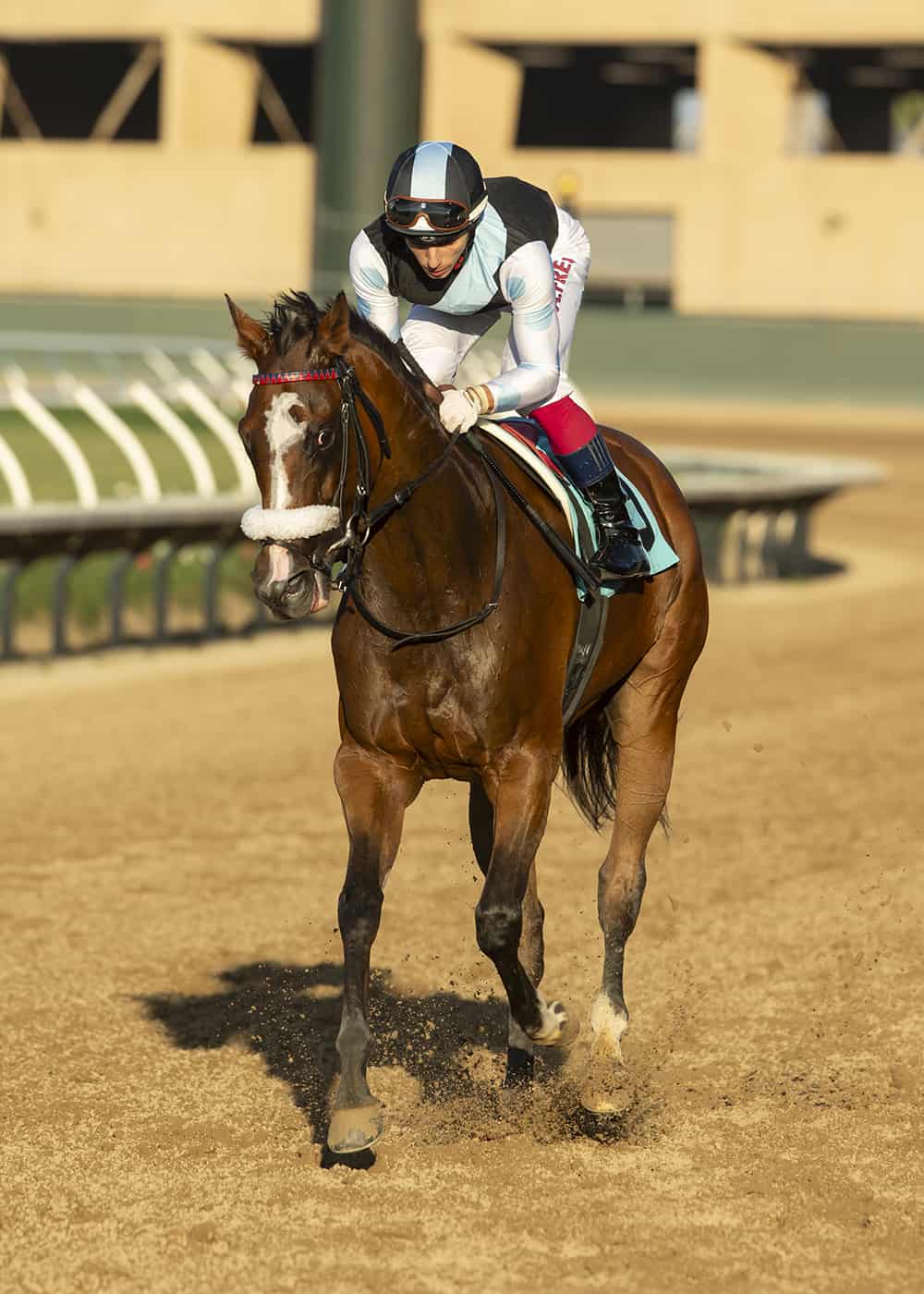 Jockey Antonio Fresu guides Sister Otoole to the winner's circle after their victory in the $100,000 CTT and TOC Stakes, Friday, August 18, 2023 at Del Mar Thoroughbred Club, Del Mar CA. © BENOIT PHOTO