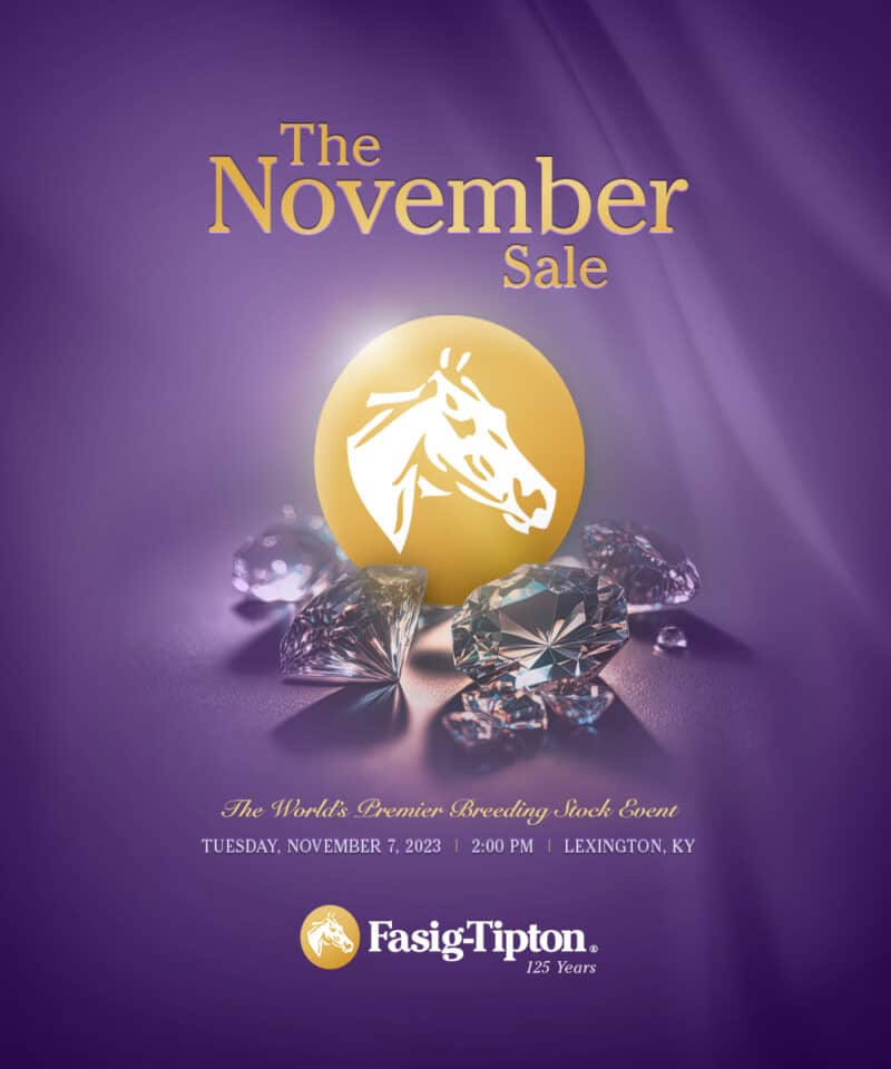 FasigTipton November Sale Catalogue Now Online FTBOA