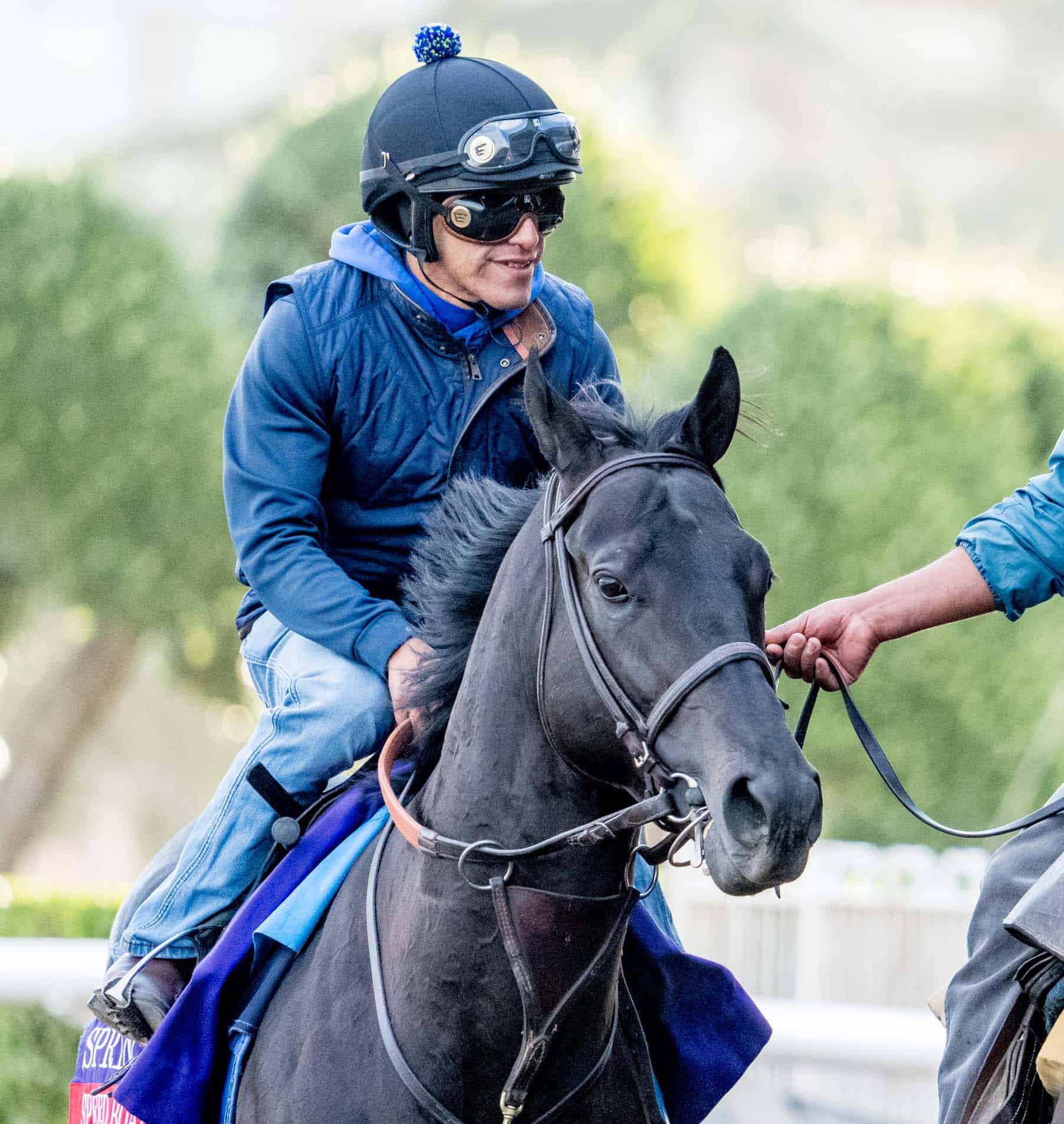 Speed Boat Beach, trained by Bob Baffert, exercises during morning workouts at Santa Anita Park in Arcadia, California on October 30, 2023 as horses prepare for the 2023 Breedersí Cup World Championships. Scott Serio/Eclipse Sportswire/Breeders Cup
