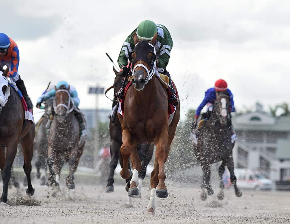Florida-bred Dean Delivers the Smile Sprint credit Ryan Thompson3