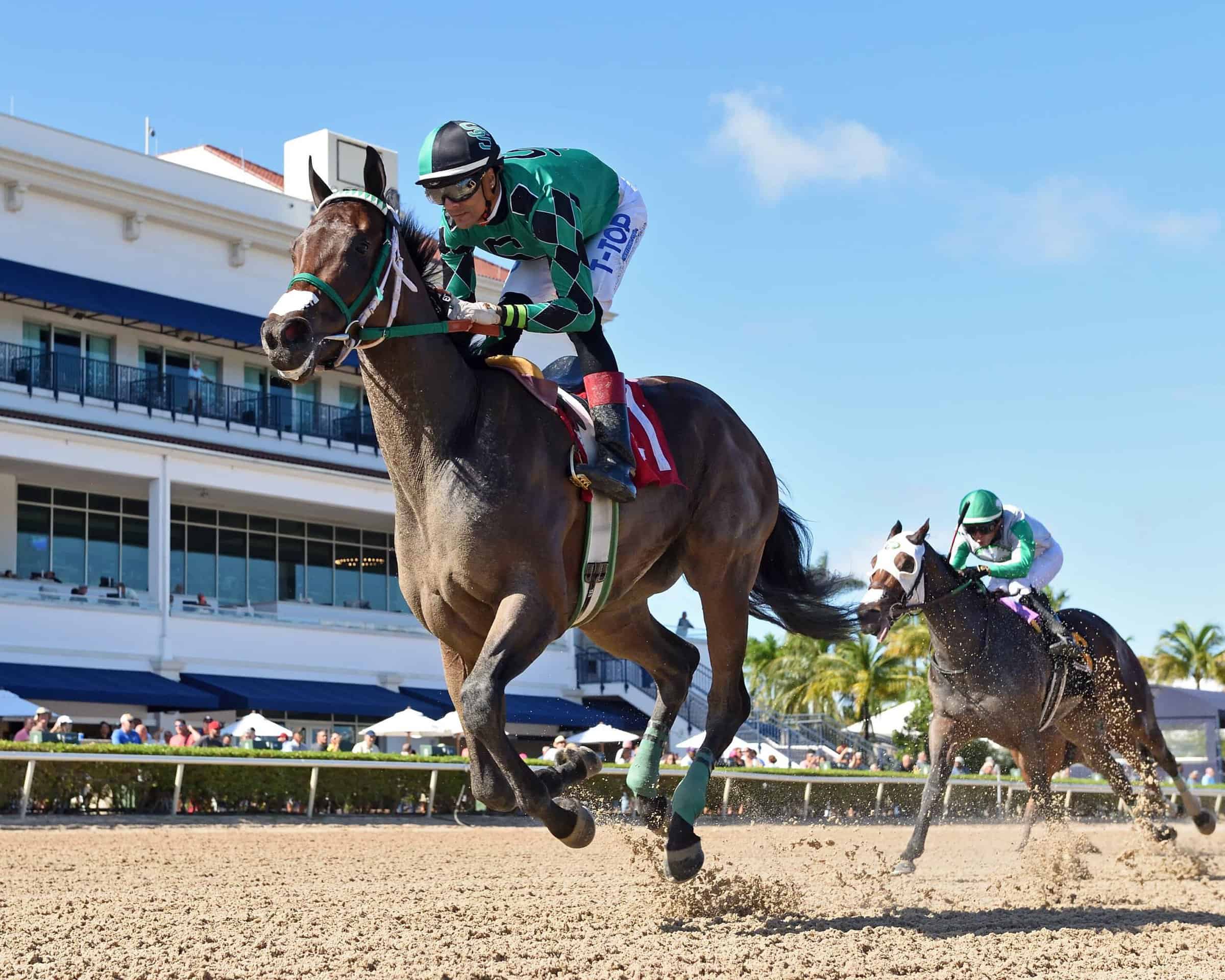 Chi Chi Goes for Three in Sandpiper at Tampa Bay Downs - FTBOA