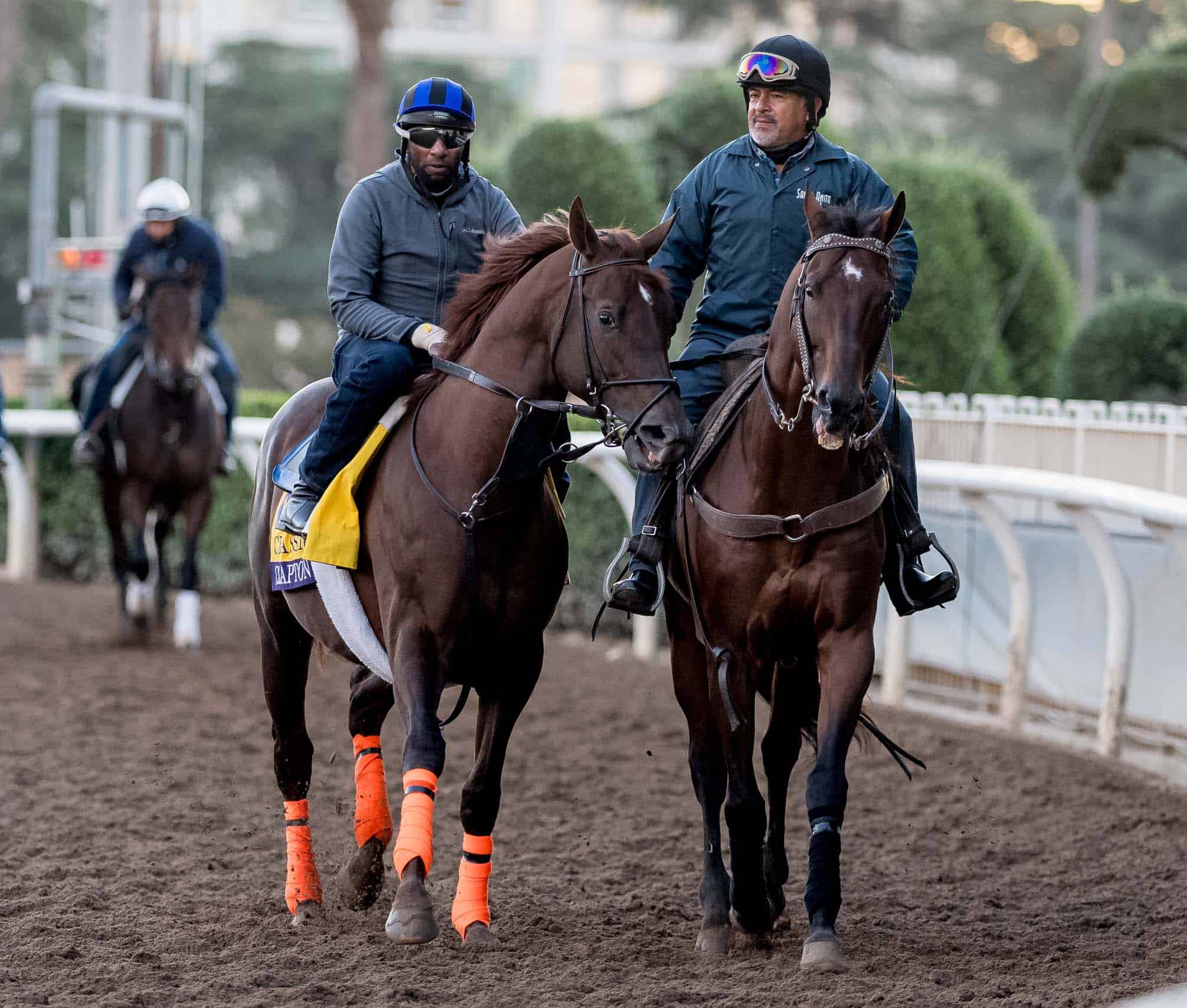 Clapton during morning workouts at Santa Anita Park in Arcadia, California on October 30, 2023 as horses prepare for the 2023 Breedersí Cup World Championships. Scott Serio/Eclipse Sportswire/Breeders Cup