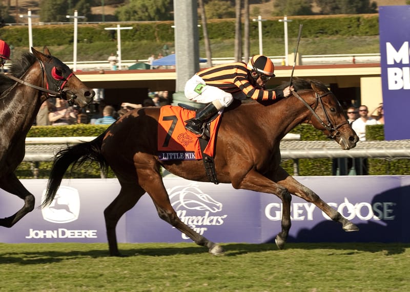 Priscilla Vaccarezza's Little Mike and Ramon Dominguez win the Grade I $3,000,000 Breeders' Cup Turf Saturday, November 3, 2012 at Santa Anita Park in Arcadia, CA. ©Benoit Photo
