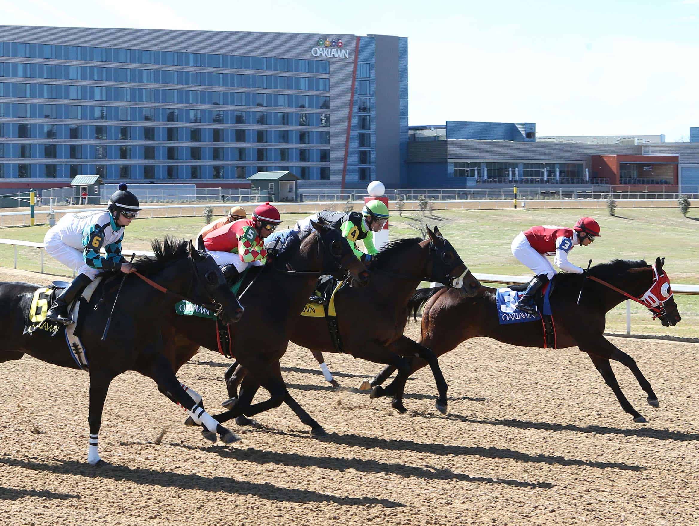 Floridabred Drewmania Set for Oaklawn’s Opening Day Advent FTBOA