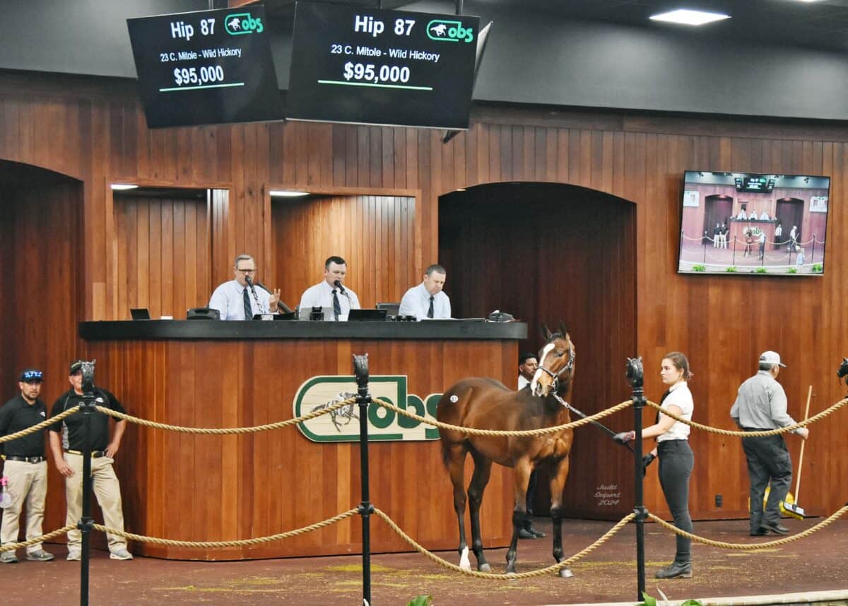 Mitole Colt Tops Preferred Session During First Day of OBS Winter Mixed