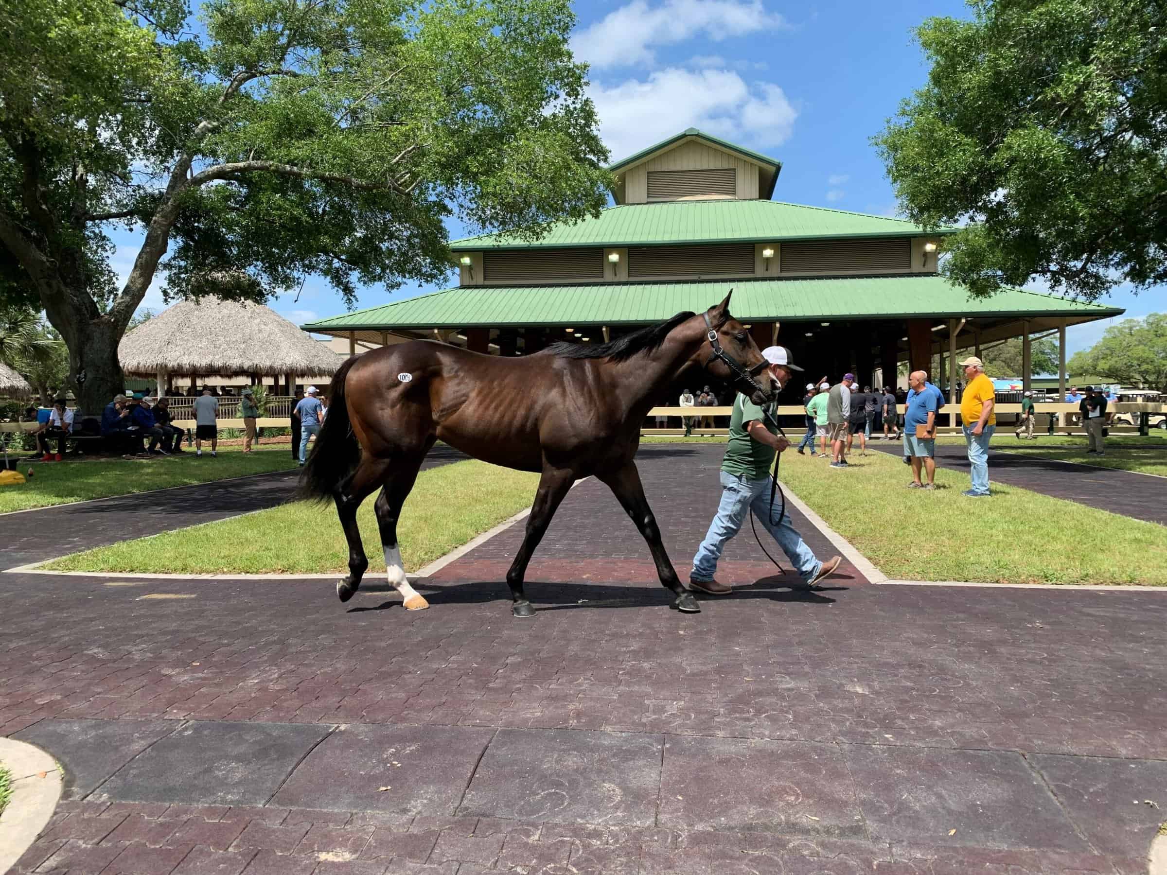 OBS March Sale Begins Tuesday FTBOA
