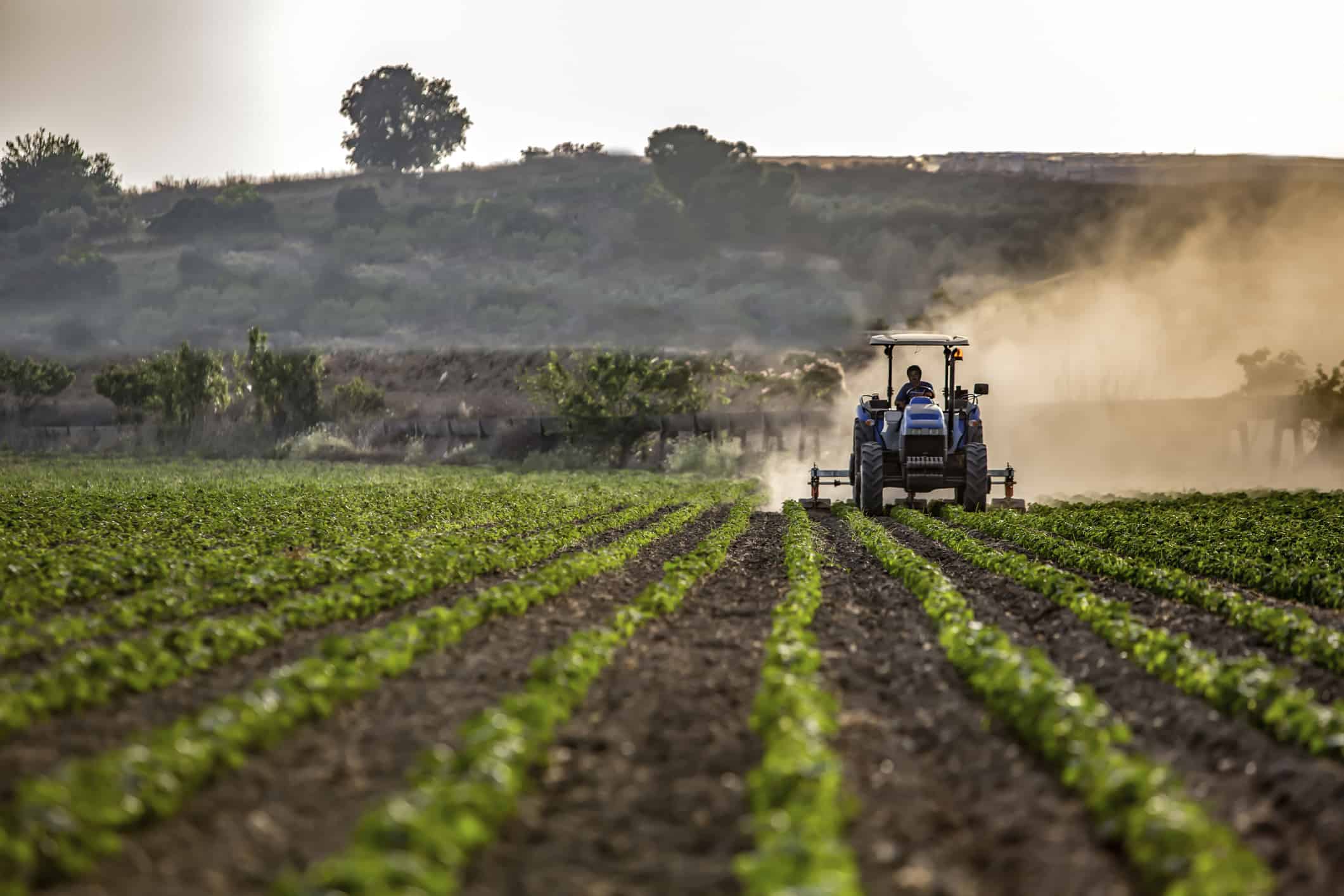 Agriculture With Machine Tractor mowing crops