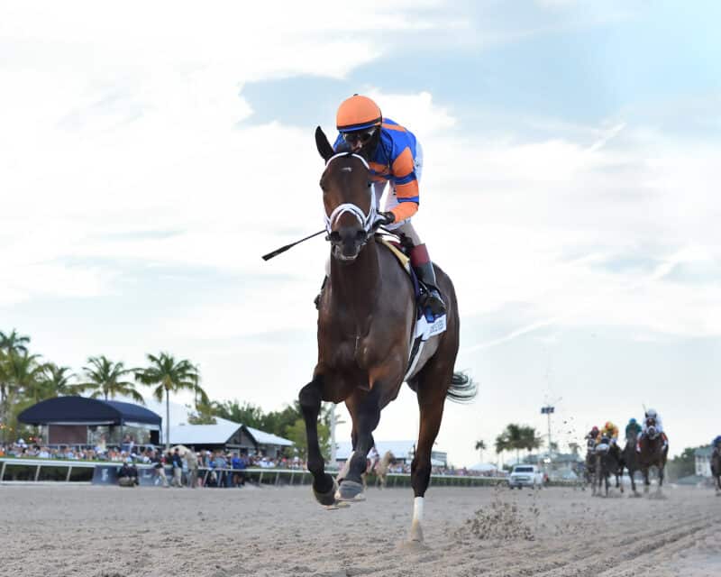 Fierceness Looking Good Following Florida Derby Romp FTBOA