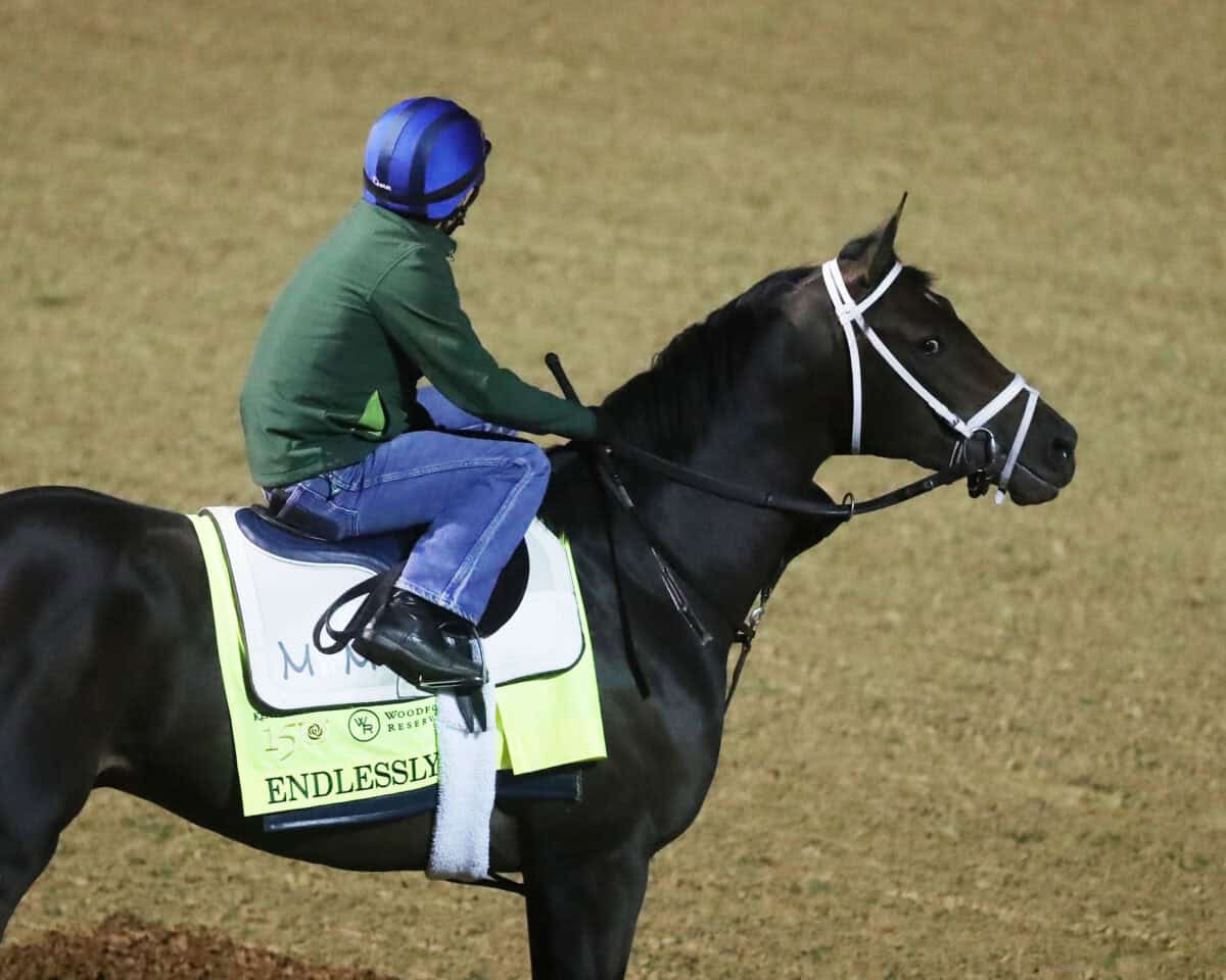 Kentucky Derby Contender Spotlights FTBOA