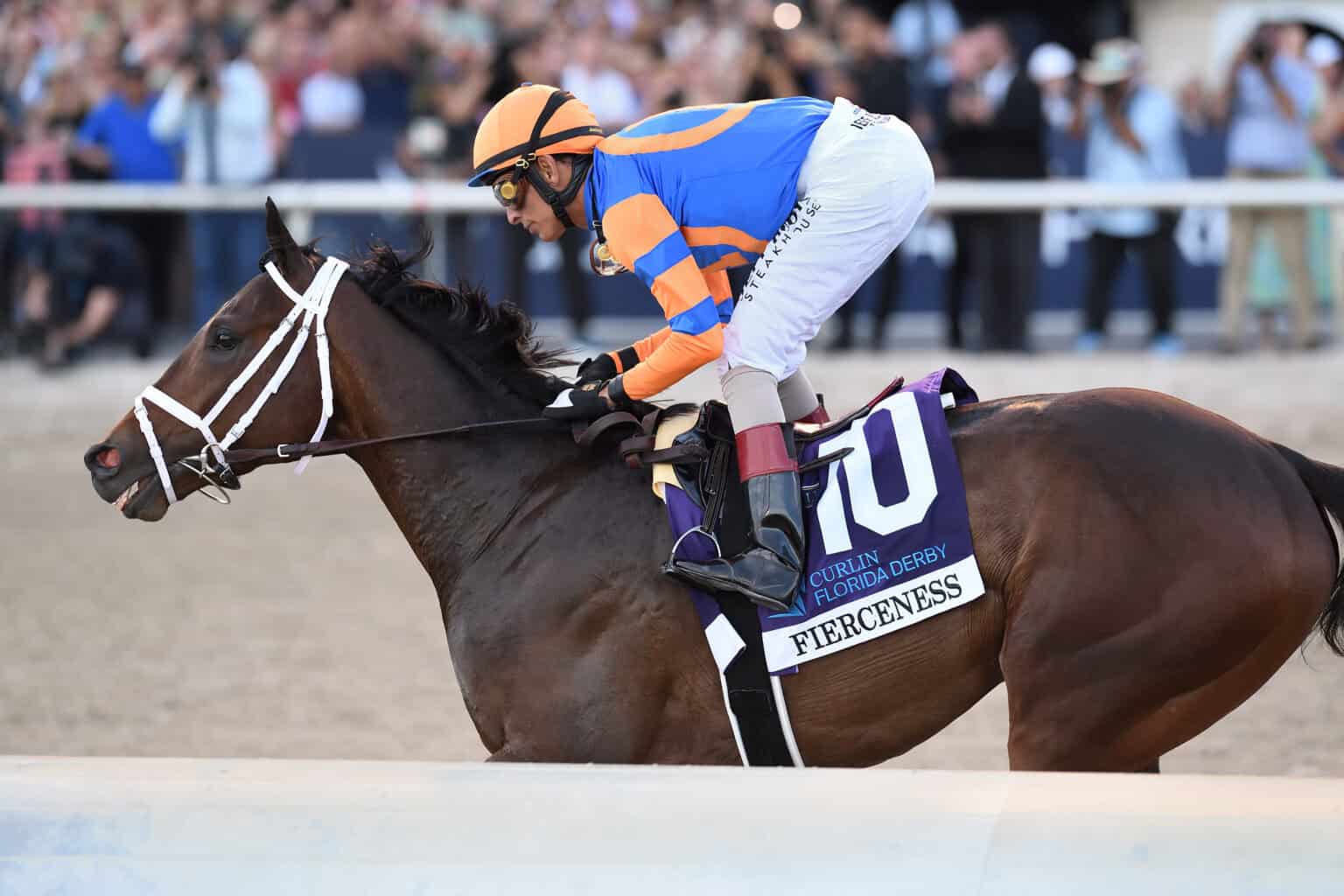 Kentucky Derby Contender Spotlights FTBOA