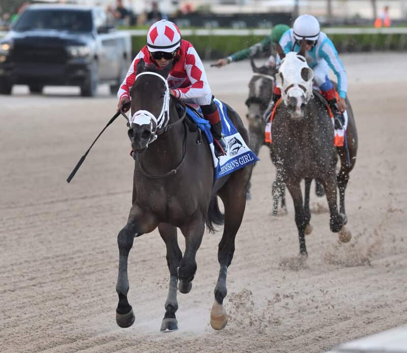 Win N Your In Returns to Winning Form with Impressive Susan’s Girl