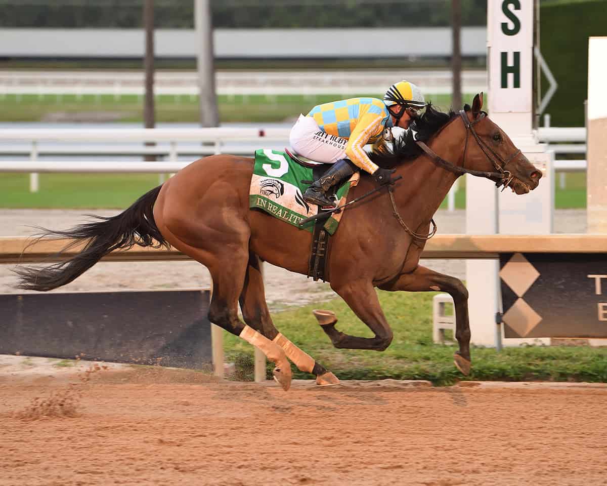 Bay Florida-bred racehorse Strategic Risk and jockey Javier Castellano cross the wire at Gulfstream Park, winning the 2025 Florida Sire Stakes In Reality. (Photo: ©Adam Coglianese)