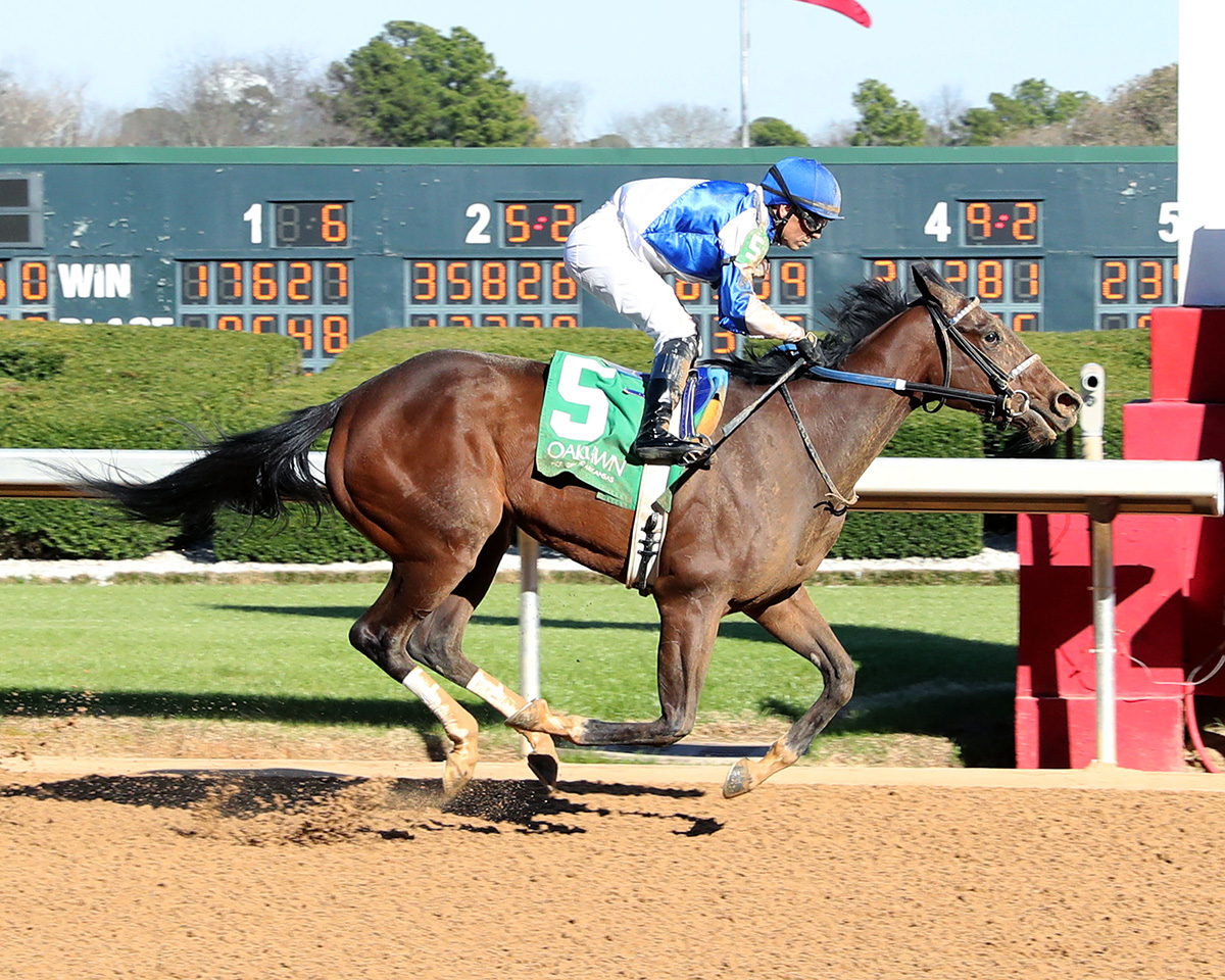 Florida-bred Thoroughbred racehorse Decadent, ridden by jockey Emmanuel Esquivel, gallops to the wire at Oaklawn Park to score a first condition, $200,000 optional claiming going a mile-and-sixteenth on March 1, 2025. (Photo: ©Coady Media)