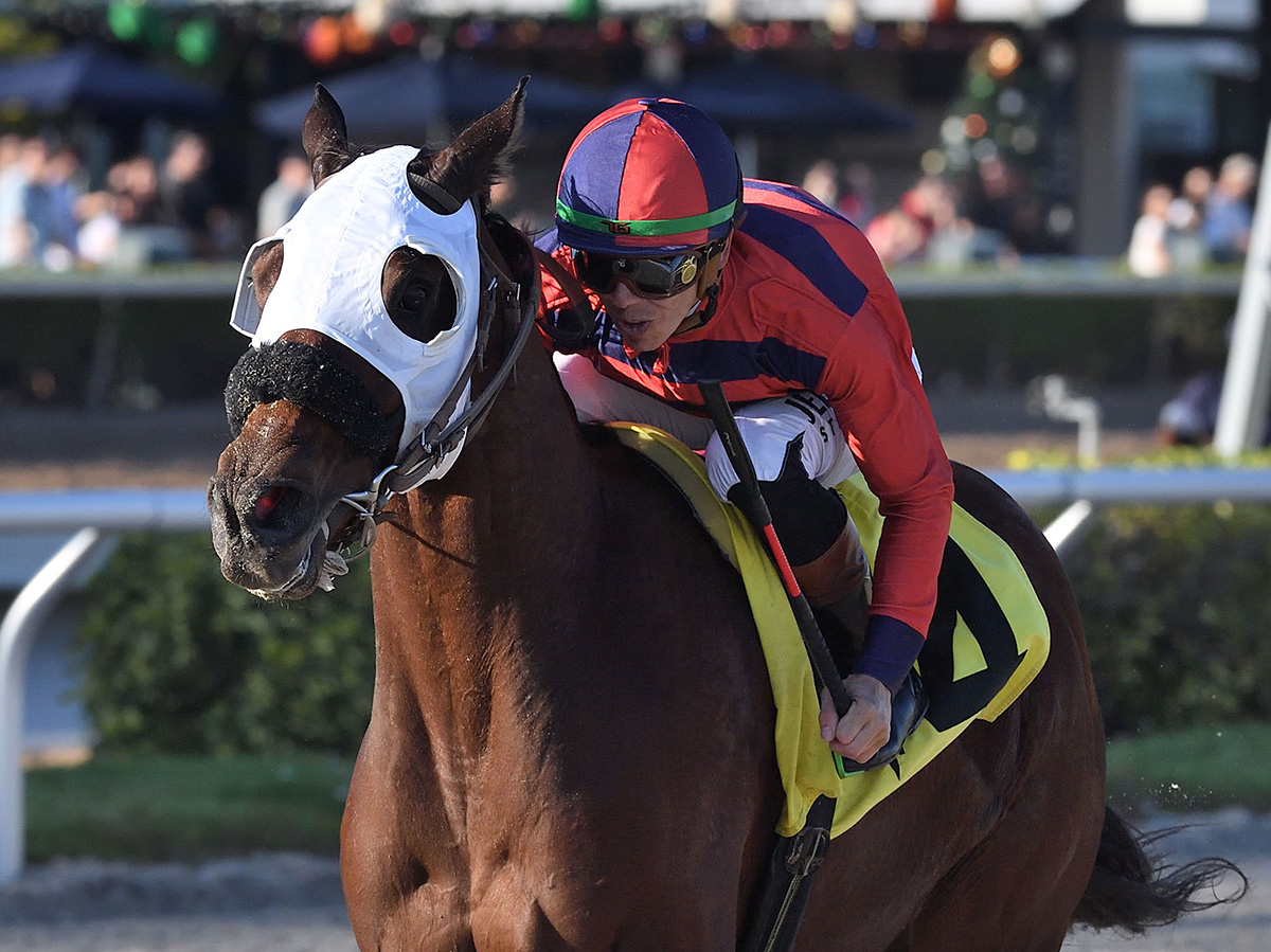 Closely cropped headshot of Florida-bred Thoroughbred racehorse Private Thoughts, sprinting to the wire. Ridden by jockey Tyler Gaffalione, the duo pulled away from the pack to win the 2025 St. Augustine overnight handicap at Gulfstream Park. (Photo: ©Ryan Thompson)
