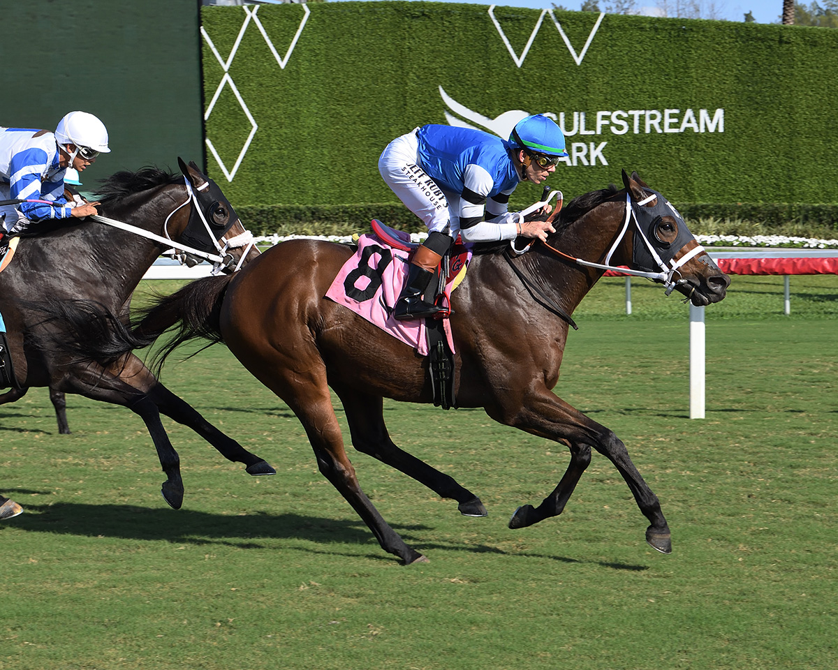 Florida-bred Thoroughbred Reef Runner, ridden by Tyler Gaffalione, accelerates of the competition, including fellow Florida-bred And Uwish, who follows closely on the inside. Reef Runner and Gaffalione held the lead, scoring the 2025 Janus Stakes (Listed) at Gulfstream Park. (Photo: ©Adam Coglianese)