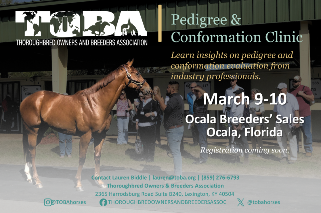 Promotional material for the Thoroughbred Owners and Breeders Association’s (TOBA) Pedigree and Conformation Clinic. The graphic consists of a photo of a chestnut Thoroughbred, standing watching a group of onlookers at the OBS Sale grounds during an auction. The TOBA logo floats over the horse’s head on the top left, and the top right includes a column of information. This information includes, “Pedigree & Conformation Clinic,” and the date and location of the clinic, “March 9 - 10, Ocala Breeders’ Sales, Ocala, Florida.” Small, teal contact information is stacked at the bottom of the graphic, including “Contact Lauren Biddle, lauren@toba.org”