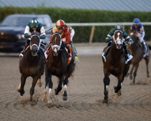 Florida-bred Thoroughbred Nearly and Hall of Fame jockey John Velazquez gallop at the head of the pack at Gulfstream Park. Behind them, competitors Bravaro (outside) and Cannoneer (positioned on the inside rail) apply pressure, but Nearly and Velazquez pulled away to win the 2026 Holy Bull (Grade 3). (Photo: ©Nicole Thomas)