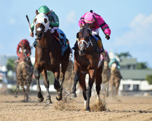 Florida-bred Langvad, on the inside rail (right side), sprints toward the camera, neck-and-neck with a competitor as they gallop to the wire. (Photo: ©Ryan Thompson)