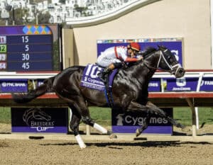Florida-bred Thoroughbred Bentornato and jockey Irad Ortiz Jr. power through the stretch in a dominating win of the 2025 Breeders’ Cup Sprint at Del Mar Thoroughbred Club. (Photo: ©Benoit)