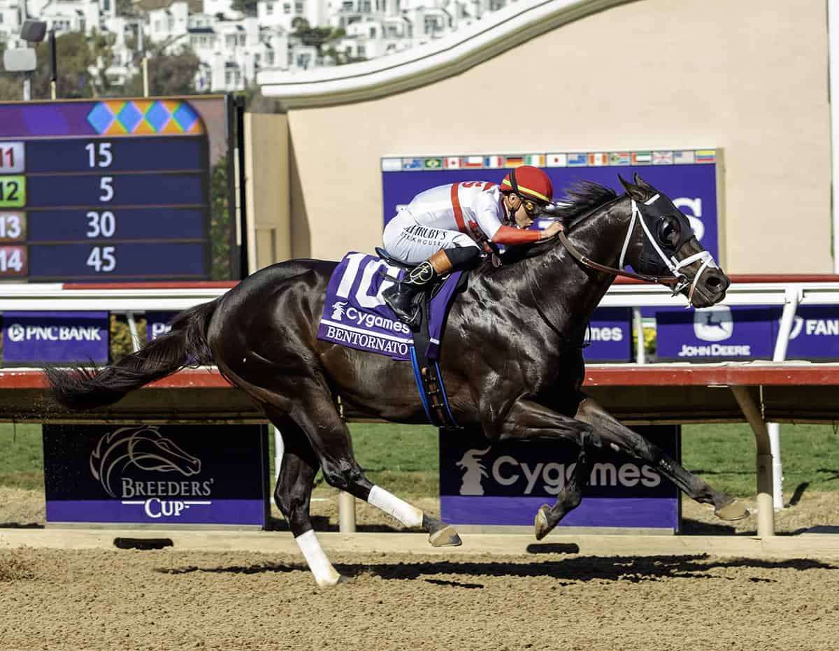 Florida-bred Thoroughbred Bentornato and jockey Irad Ortiz Jr. power through the stretch in a dominating win of the 2025 Breeders’ Cup Sprint at Del Mar Thoroughbred Club. (Photo: ©Benoit)